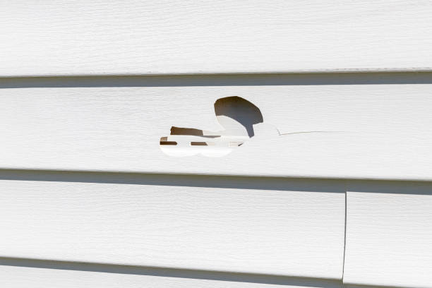 Best Custom Trim and Detailing for Siding  in Dewart, PA